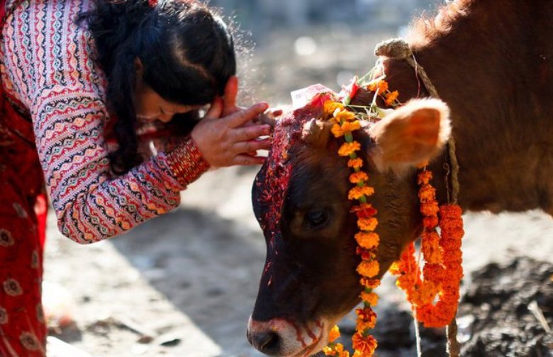 आज गाई पूजा